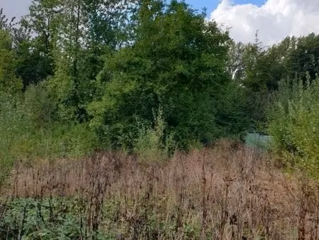 terrain 2 365 m² la comte