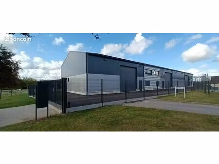 local d'activité 1 000 m²