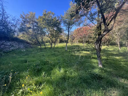 parcelle constructible salazac