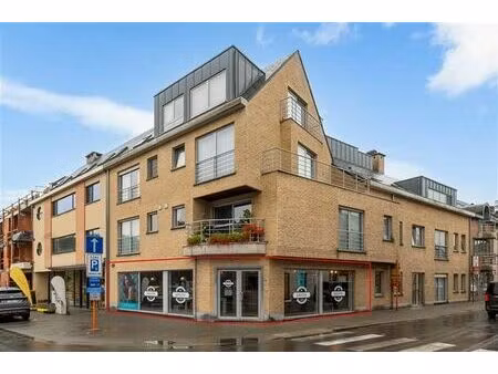 commerce - rez-de-chausée