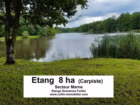 en vente terrain constructible 800 ares – 321 000 € |lavoye