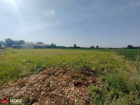 vente terrain à chasnais (85400) : à vendre / 1831m² chasnais
