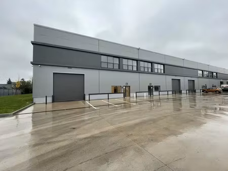 local d'activite a louer