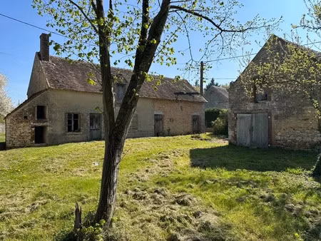 vente ferme 2 pièces 41 m² à griselles (45210)  115 000 €