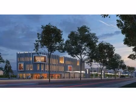 vente local d'activités gonesse 95500