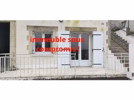 vente immeuble 226 m² savonnières (37510)