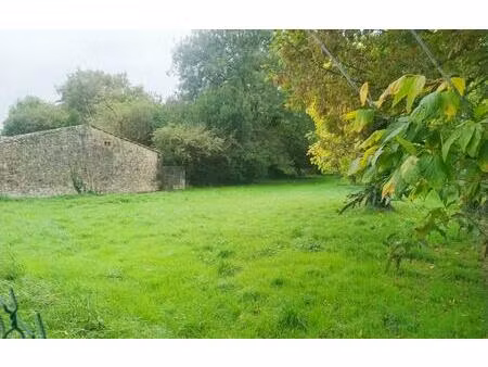 vente terrain 528 m² échillais (17620)