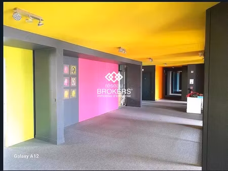 immobilier professionnel à vendre orléans