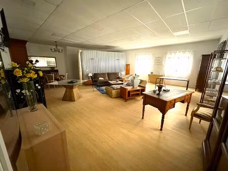 vente commerce 8 pièces 672 m² dissay (86130)