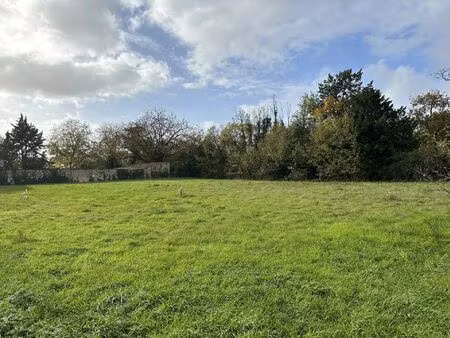 vente terrain 810 m² cissé (86170)