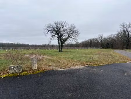 vente terrain 1004 m² mosnac-saint-simeux (16120)