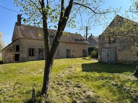 vente maison 2 pièces 41 m² griselles (45210)