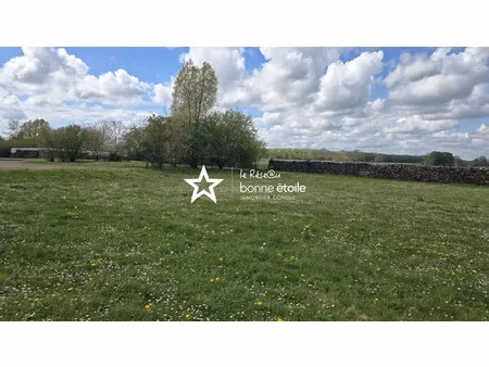 vente terrain 1049 m² à richebourg (52120)  35 000 €