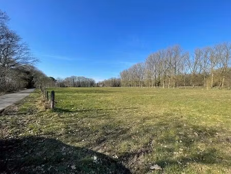 zeer mooi gelegen weilanden gelegen te vuilvoort herentals