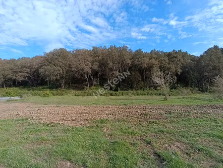 terrain hors lotissement a 10 minutes de casamozza lucciana 20290 barchetta