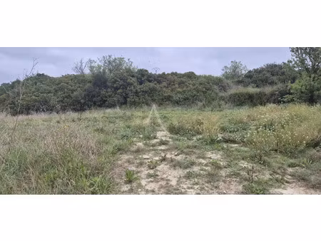 vente terrain 292 m² à gigean (34770)  172 000 €