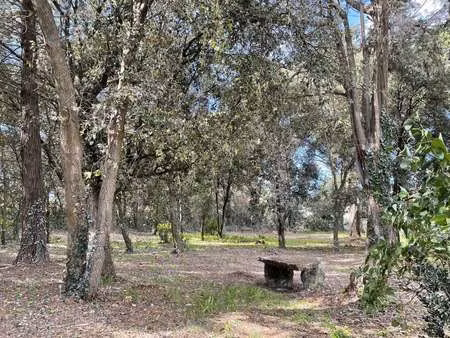 vente terrain à l'épine (85740) : à vendre / 2000m² l'épine