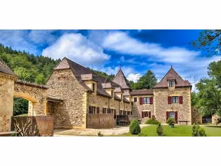 propriété avec jardin saint-léon-sur-vézère (24)