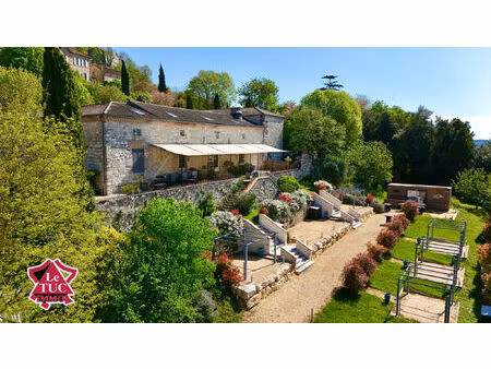 vente maison 28 pièces 650 m² penne-d'agenais (47140)