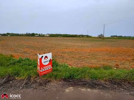 vente terrain à chasnais (85400) : à vendre / 8906m² chasnais