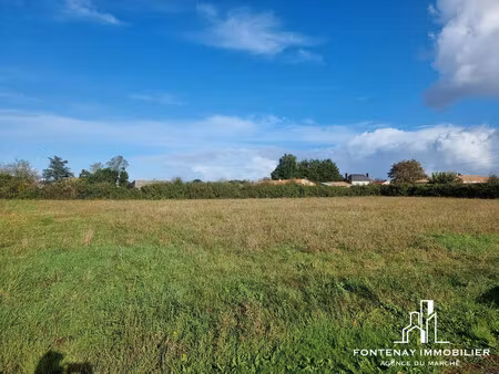 terrain 968 m² pétosse hors lotissement au calme 25 16 € le