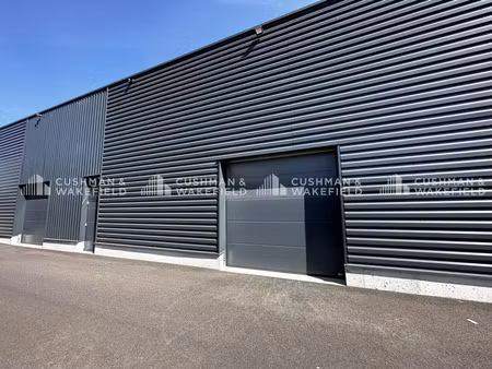 activités 171 m² (non div.) à louer (reichstett 67116)