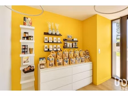 vente surface diverse 87 m²