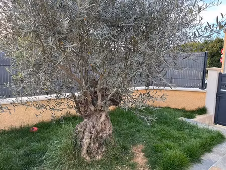 vente maison 6 pièces 135 m² à la coucourde (26740)  325 000 €