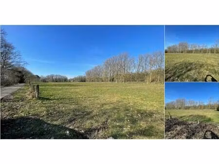 terrain agricole à vendre à vuilvoort 2b herentals (rbt08882)