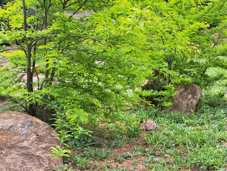 *terrain 400 m2 pour immeubles avec mazet.