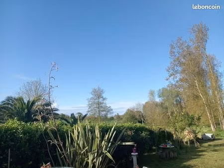 terrain de loisirs boisé