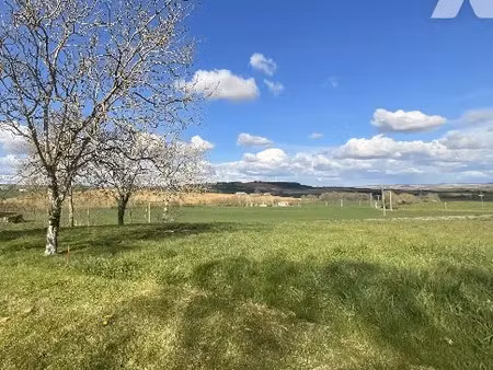 vente terrain 1753 m² à beaumont-de-lomagne (82500)  38 500 €