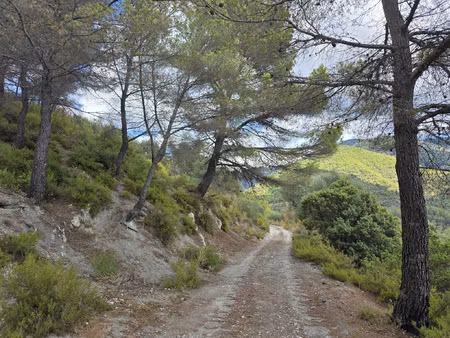 l'escarene - terrain de loisirs 11 440m2