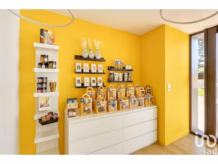 vente locaux professionnels 87 m² à haute-goulaine (44115)  93 000 €