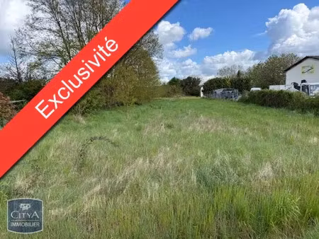 terrain à vendre 1200 m² - anché (37) - 19 500€