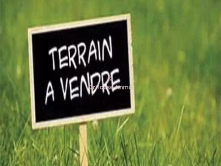 vente terrain à villandraut (33730) : à vendre / 956m² villandraut