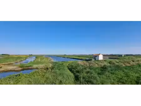 vente terrain  21385.00m²  saint
