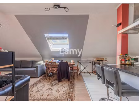 vente appartement 2 pièces 45 m² haguenau (67500)