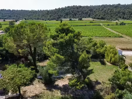 vente terrain saint-mathieu-de-tréviers 34270 - - surface privée