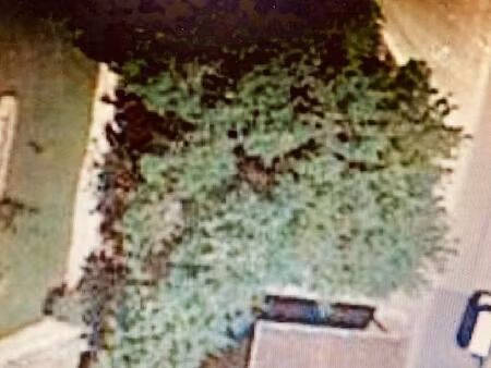 terrain plein centre de marboz d'une surface de 486m2