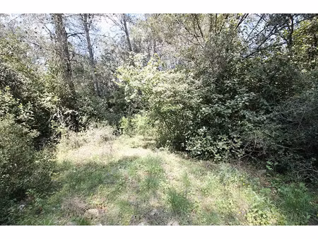 vente terrain 5551 m² à milhaud (30540)  15 000 €