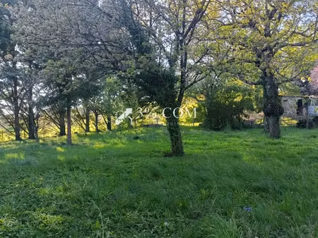 vente terrain 1596 m² à beaumont saint-cyr (86490)  73 000 €