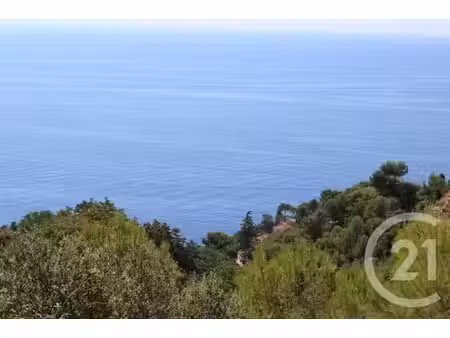 terrain à vendre - 1500 m2 - eze - 06 - provence-alpes-cote-d-azur