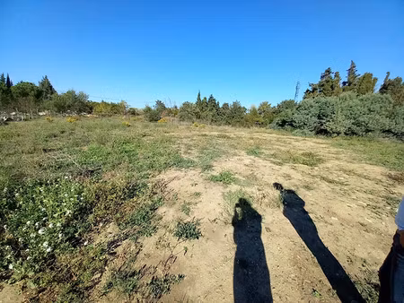 location terrain 2000 m² à saint-estève (66240)  150 €