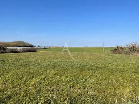 terrain de 3 243 m² à 10 minutes de fontenay-le-comte