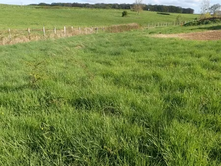 semur-en-auxois 5km  terrain constructible 1200m2