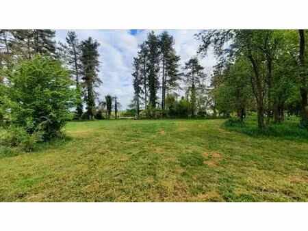 vente terrain 3000 m² valençay (36600)