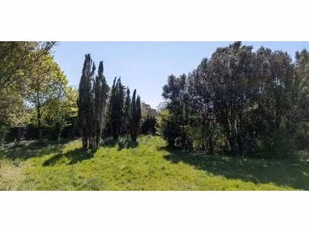 terrain en bord de mer vaux-sur-mer (17)