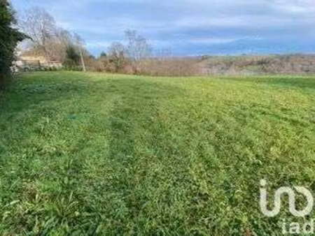 vente terrain à lalongue (64350) : à vendre / 2000m² lalongue