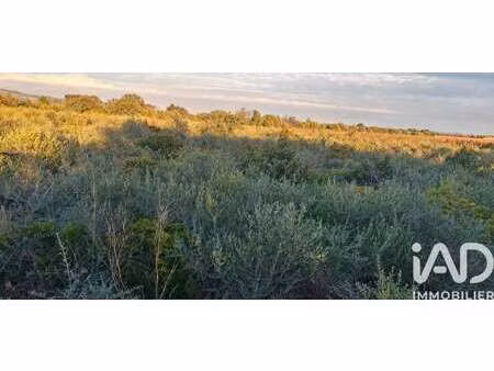 vente terrain à la palme (11480) : à vendre / 3135m² la palme